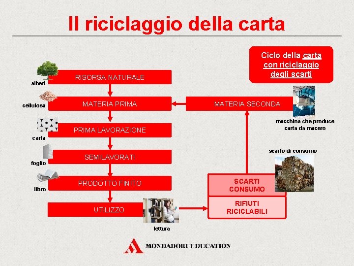 Il riciclaggio della carta alberi cellulosa Ciclo della carta con riciclaggio degli scarti RISORSA