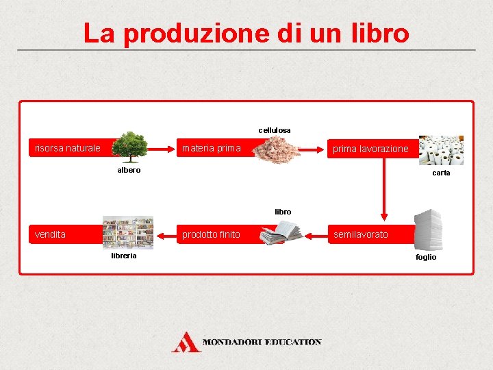 La produzione di un libro cellulosa risorsa naturale materia prima lavorazione albero carta libro