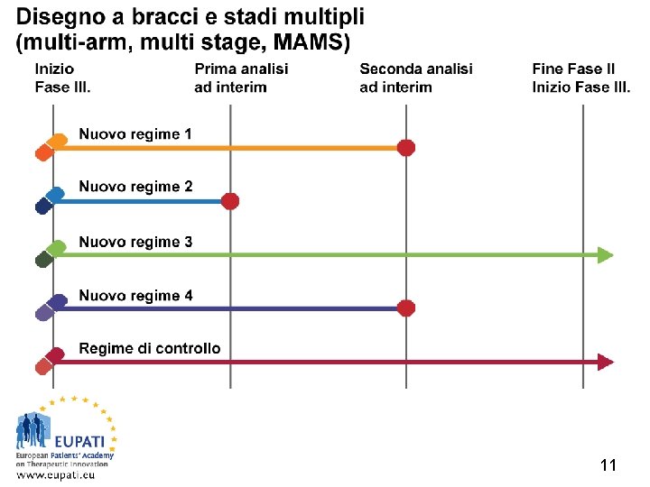 Disegno a bracci e stadi multipli (multi-arm, multi stage, MAMS) Accademia europea dei pazienti