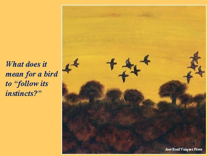 What does it mean for a bird to “follow its instincts? ” José Raúl