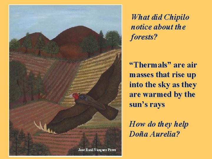 What did Chipilo notice about the forests? “Thermals” are air masses that rise up