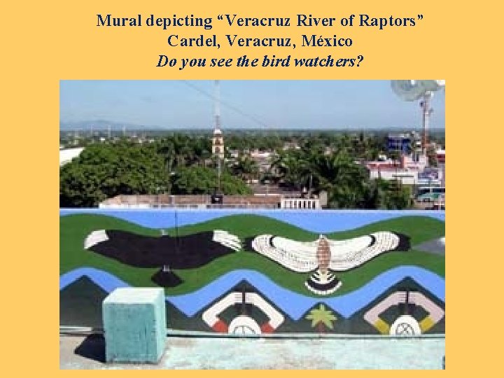 Mural depicting “Veracruz River of Raptors” Cardel, Veracruz, México Do you see the bird