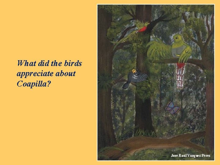 What did the birds appreciate about Coapilla? José Raúl Vázquez Pérez 