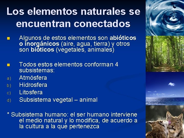 Los elementos naturales se encuentran conectados n Algunos de estos elementos son abióticos o Los elementos naturales se encuentran conectados n Algunos de estos elementos son abióticos o
