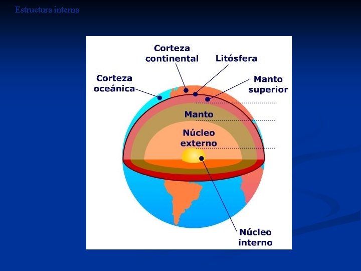 Estructura interna Estructura interna