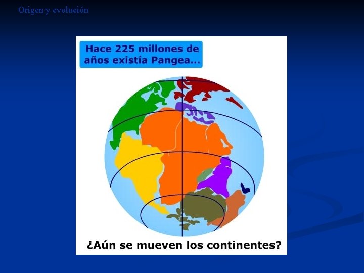 Origen y evolución Origen y evolución