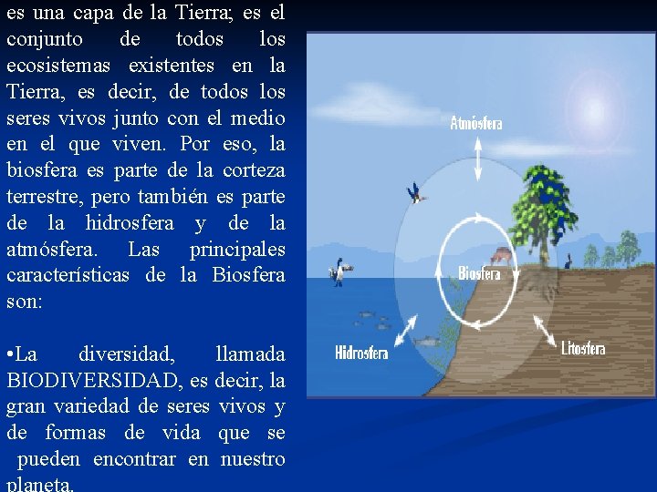 es una capa de la Tierra; es el conjunto de todos los ecosistemas existentes es una capa de la Tierra; es el conjunto de todos los ecosistemas existentes