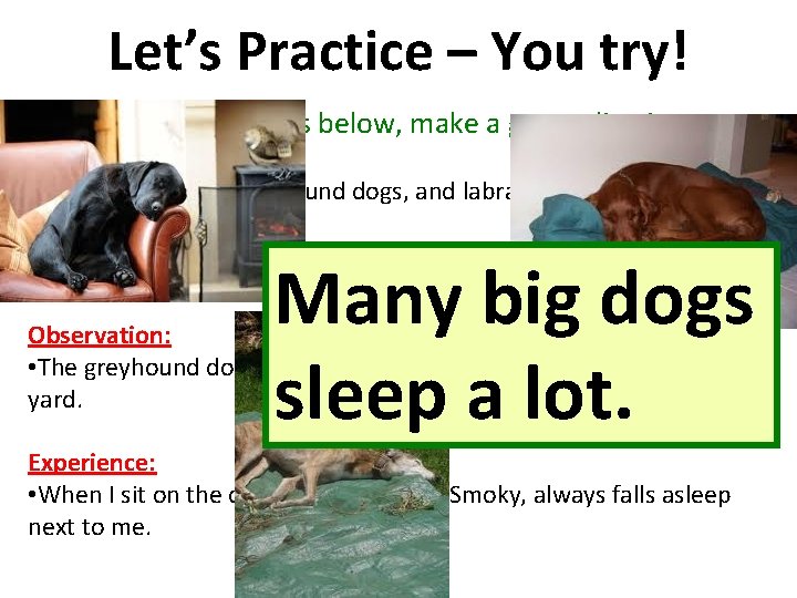 Let’s Practice – You try! Using the details below, make a generalization. Fact: •