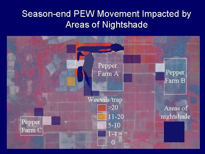 Season-end PEW Movement Impacted by Areas of Nightshade Pepper Farm A Pepper Farm C