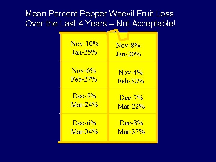 Mean Percent Pepper Weevil Fruit Loss Over the Last 4 Years – Not Acceptable!