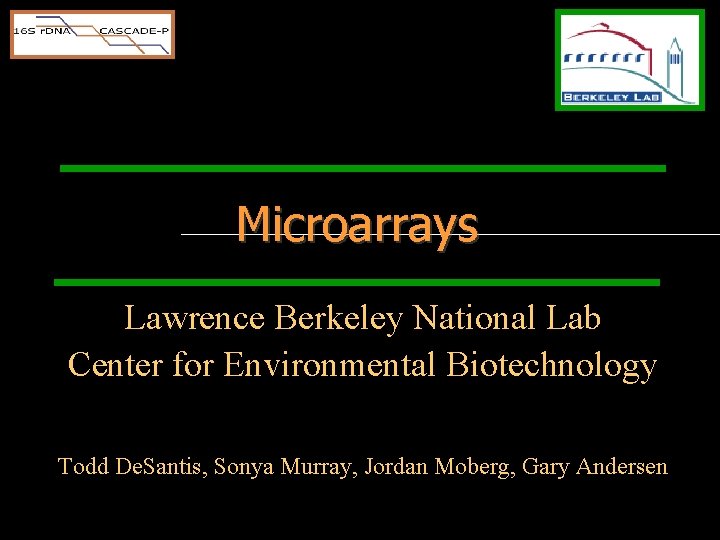 Microarrays Lawrence Berkeley National Lab Center for Environmental Biotechnology Todd De. Santis, Sonya Murray,