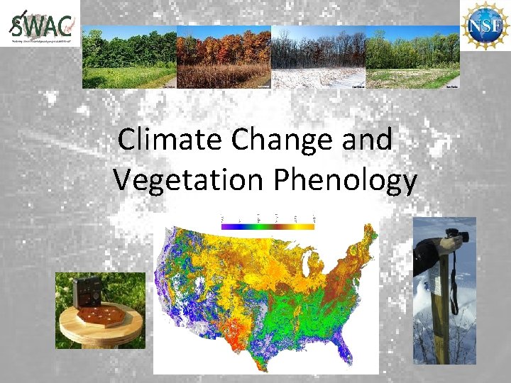 Climate Change and Vegetation Phenology 