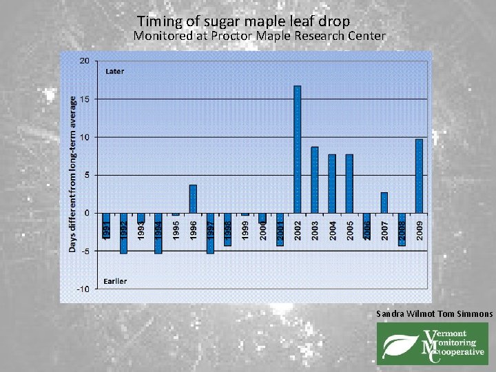 Timing of sugar maple leaf drop Monitored at Proctor Maple Research Center Sandra Wilmot