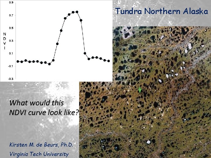 Tundra Northern Alaska What would this NDVI curve look like? Kirsten M. de Beurs,