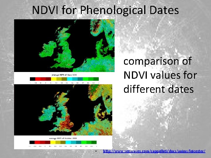 NDVI for Phenological Dates comparison of NDVI values for different dates • http: //www.