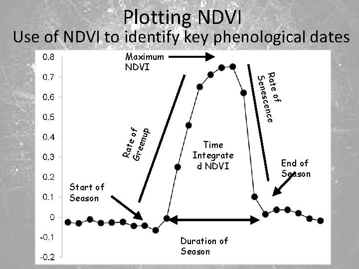 Plotting NDVI Use of NDVI to identify key phenological dates Maximum NDVI Rate Gre