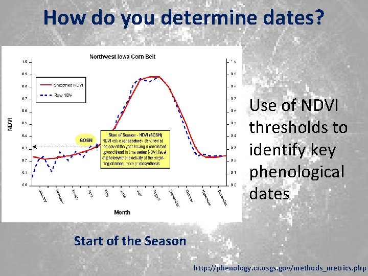 How do you determine dates? Use of NDVI thresholds to identify key phenological dates