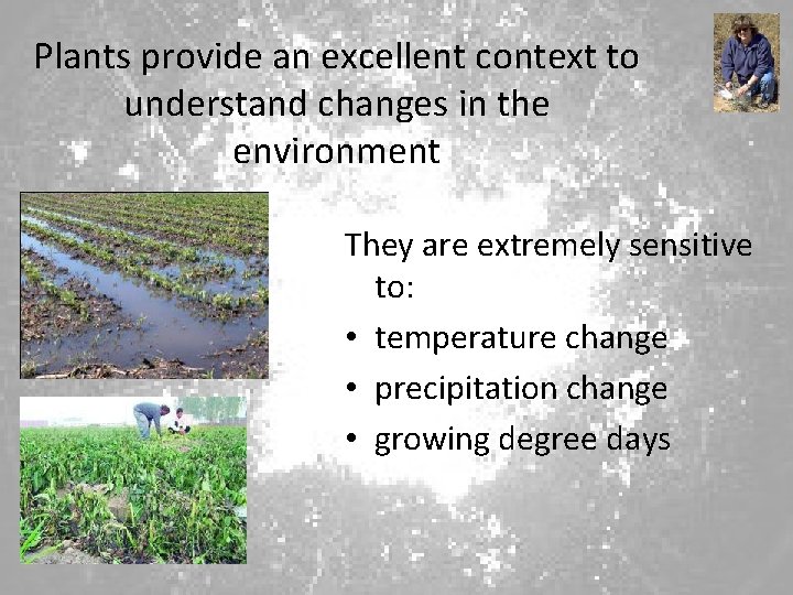 Plants provide an excellent context to understand changes in the environment They are extremely