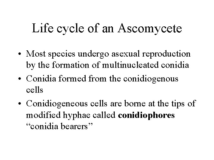 Life cycle of an Ascomycete • Most species undergo asexual reproduction by the formation