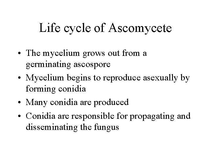 Life cycle of Ascomycete • The mycelium grows out from a germinating ascospore •