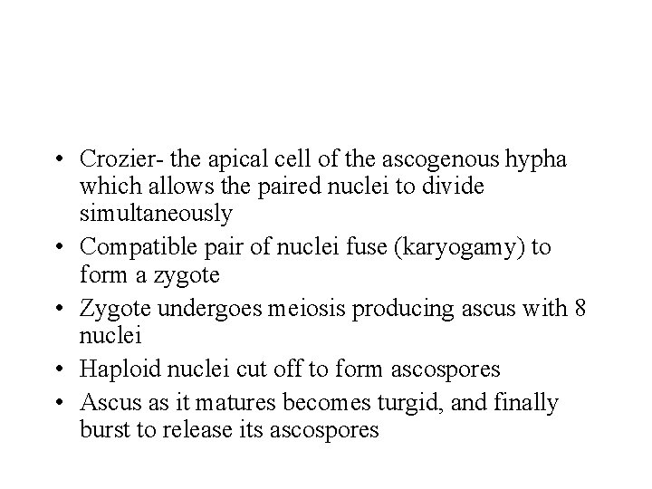  • Crozier- the apical cell of the ascogenous hypha which allows the paired