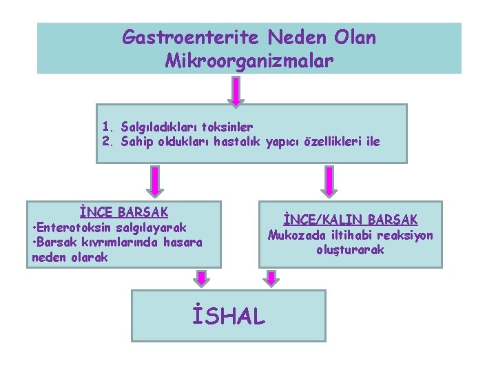 Gastroenterite Neden Olan Mikroorganizmalar 1. Salgıladıkları toksinler 2. Sahip oldukları hastalık yapıcı özellikleri ile