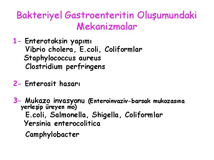 Bakteriyel Gastroenteritin Oluşumundaki Mekanizmalar 1 - Enterotoksin yapımı Vibrio cholera, E. coli, Coliformlar Staphylococcus