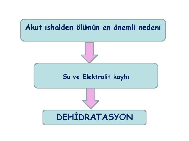 Akut ishalden ölümün en önemli nedeni Su ve Elektrolit kaybı DEHİDRATASYON 