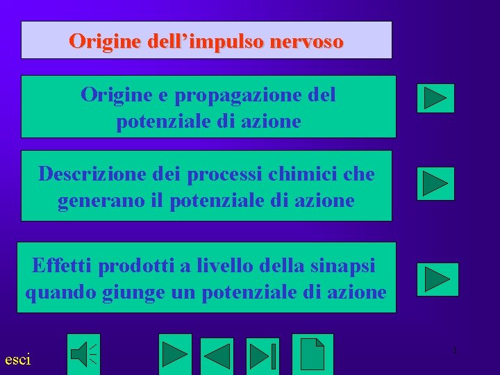 Origine dell’impulso nervoso Origine e propagazione del potenziale di azione Descrizione dei processi chimici