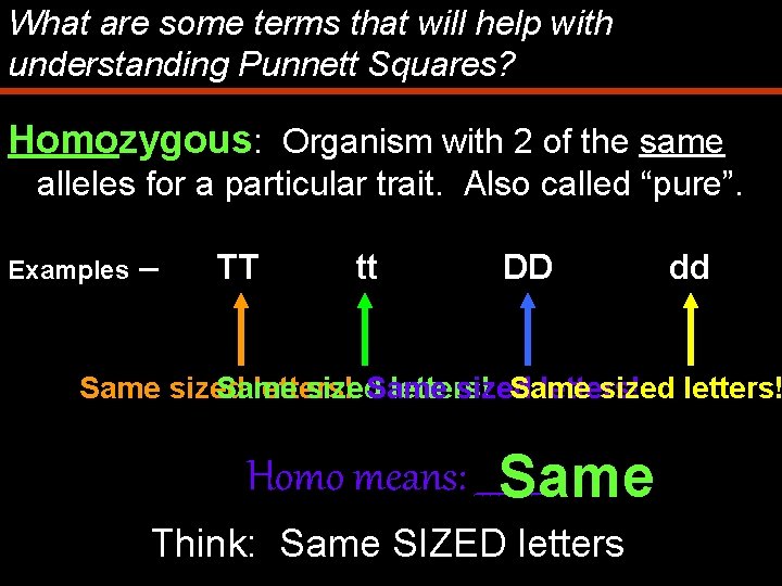 What are some terms that will help with understanding Punnett Squares? Homozygous: Organism with