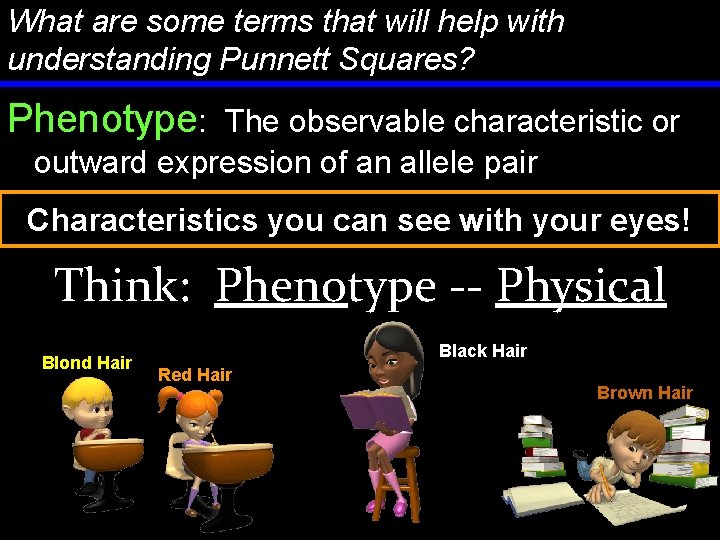 What are some terms that will help with understanding Punnett Squares? Phenotype: The observable