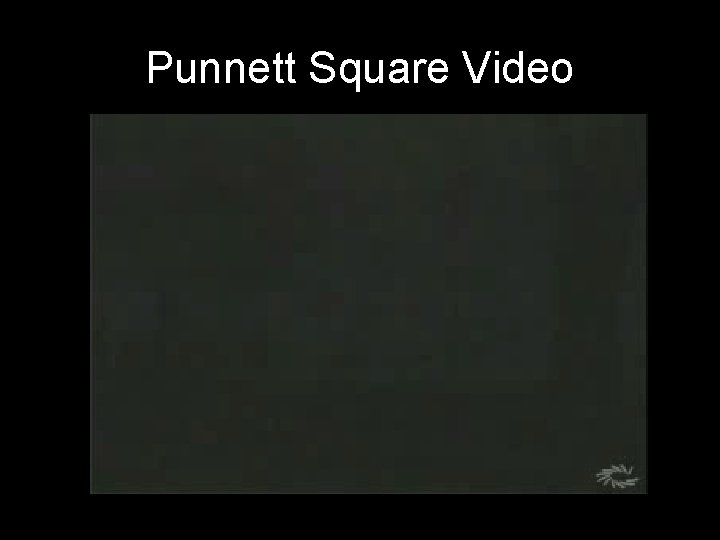 Punnett Square Video 