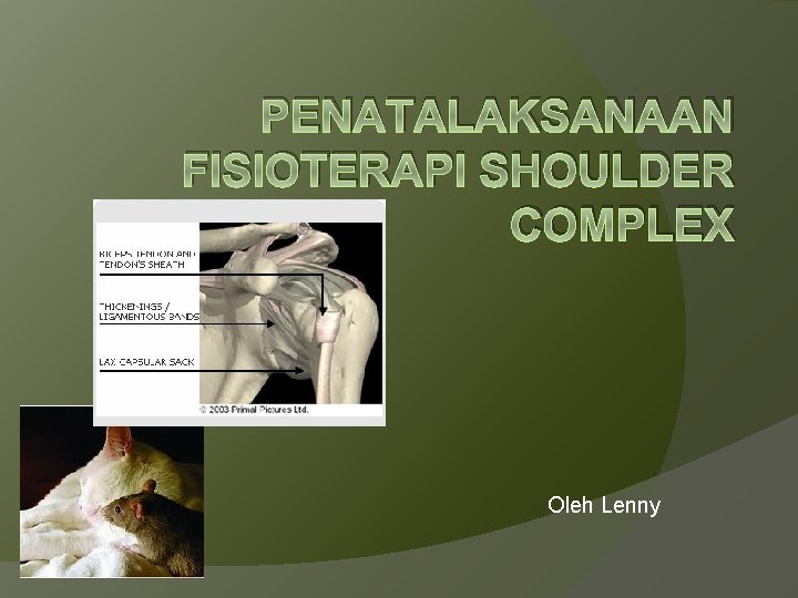 PENATALAKSANAAN FISIOTERAPI SHOULDER COMPLEX Oleh Lenny 