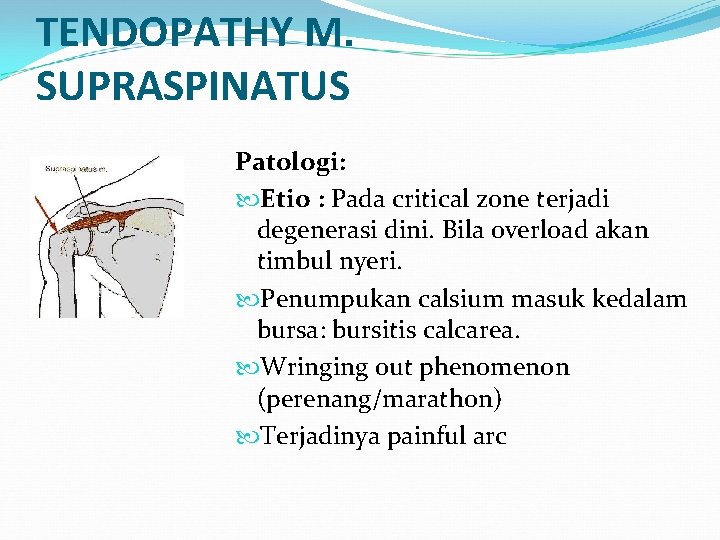 TENDOPATHY M. SUPRASPINATUS Patologi: Etio : Pada critical zone terjadi degenerasi dini. Bila overload