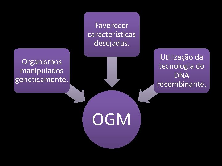 Favorecer características desejadas. Utilização da tecnologia do DNA recombinante. Organismos manipulados geneticamente. OGM 