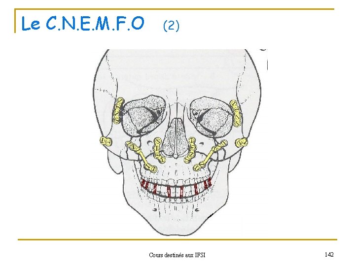 Le C. N. E. M. F. O (2) Cours destinés aux IFSI 142 