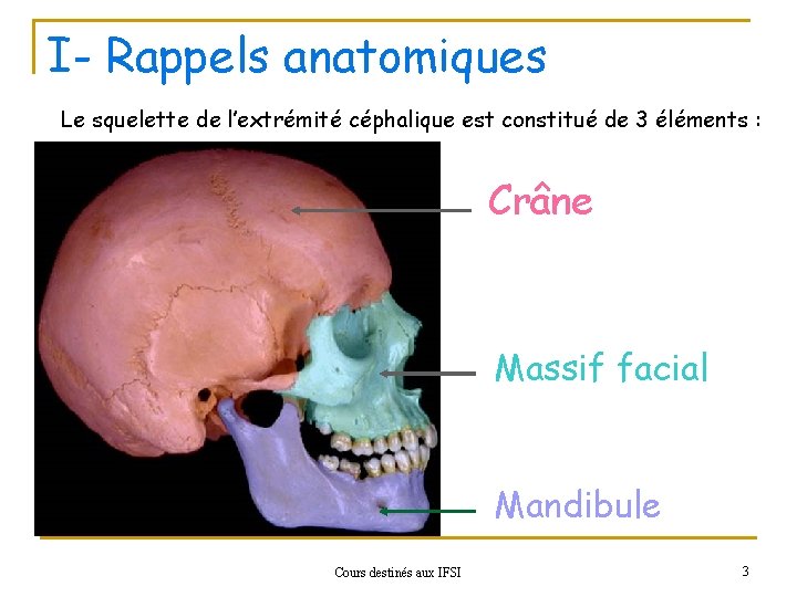 I- Rappels anatomiques Le squelette de l’extrémité céphalique est constitué de 3 éléments :