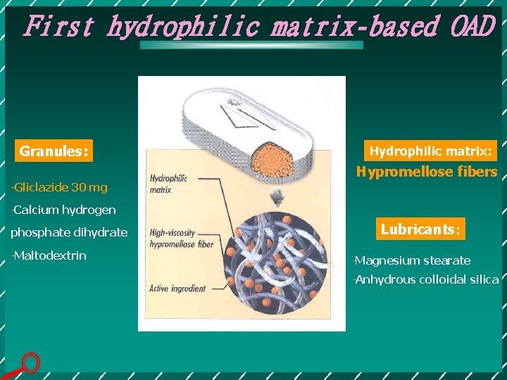 First hydrophilic matrix-based OAD Granules: Hydrophilic matrix: Hypromellose fibers Gliclazide 30 mg Calcium hydrogen