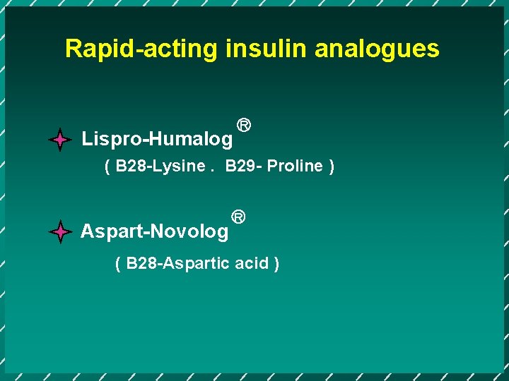 Rapid-acting insulin analogues Lispro-Humalog R ( B 28 -Lysine. B 29 - Proline )