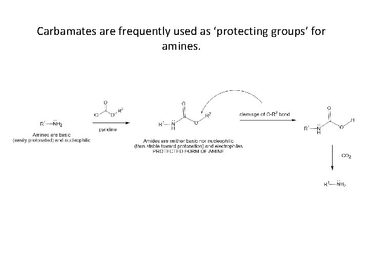 Carbamates are frequently used as ‘protecting groups’ for amines. 