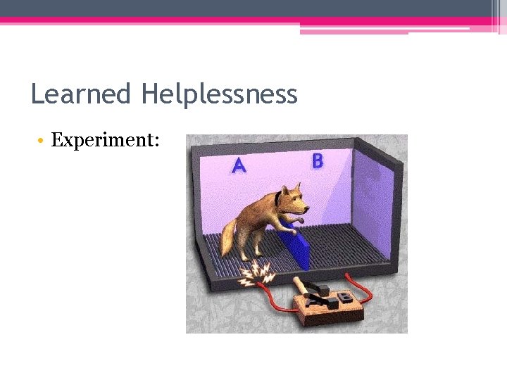 Learned Helplessness • Experiment: 