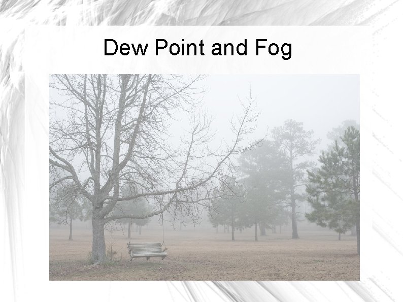 Dew Point and Fog 