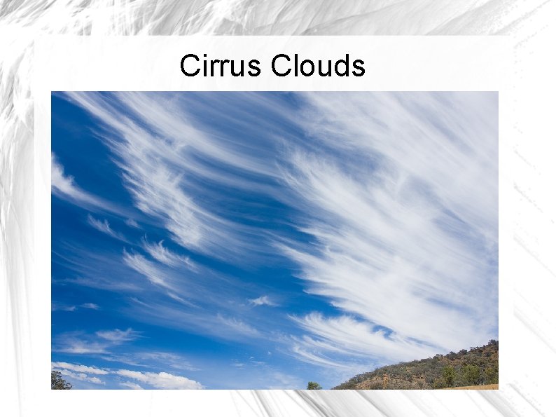 Cirrus Clouds 