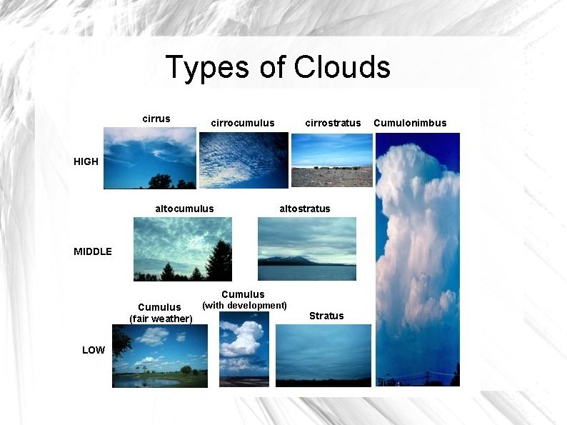 Types of Clouds 
