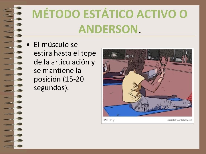 MÉTODO ESTÁTICO ACTIVO O ANDERSON. • El músculo se estira hasta el tope de