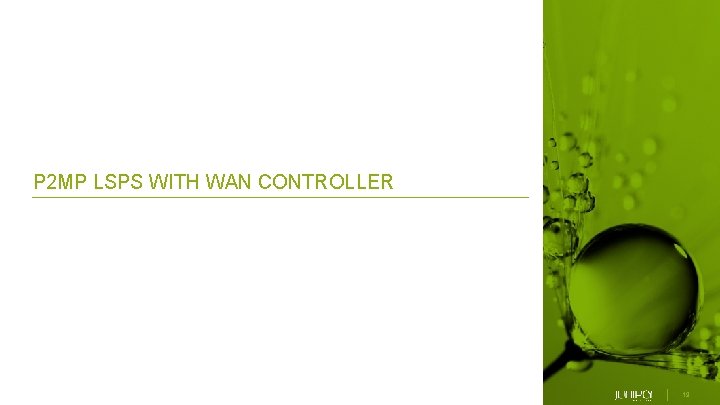 P 2 MP LSPS WITH WAN CONTROLLER © 2019 Juniper Networks 19 
