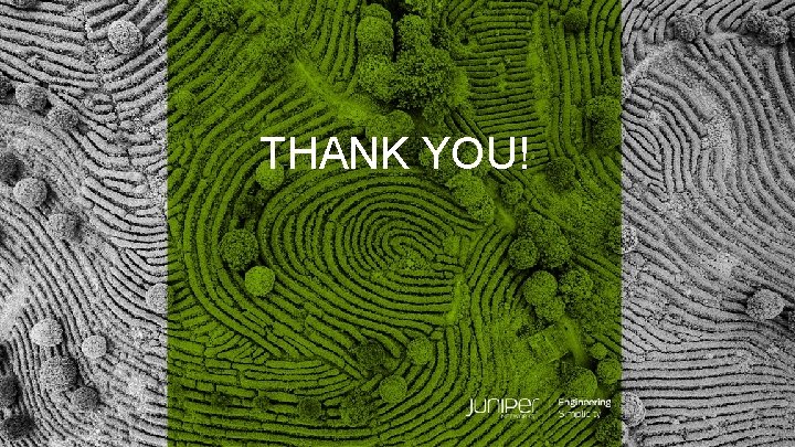 THANK YOU! © 2019 Juniper Networks 