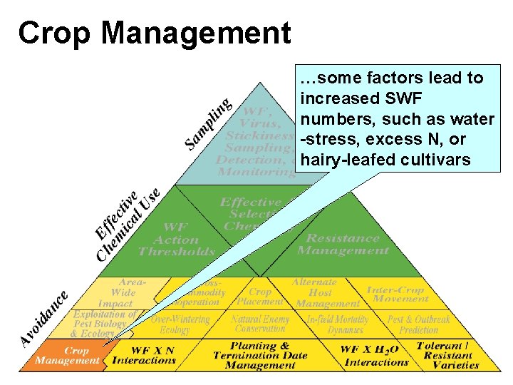 Crop Management …some factors lead to increased SWF numbers, such as water -stress, excess Crop Management …some factors lead to increased SWF numbers, such as water -stress, excess