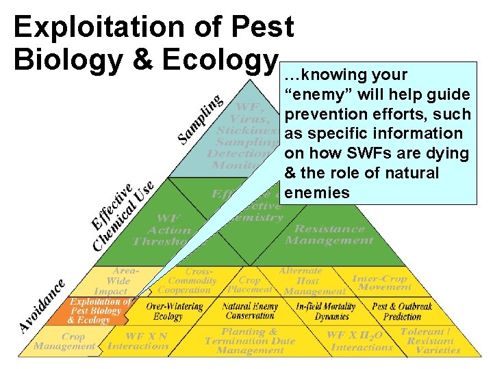 Exploitation of Pest Biology & Ecology …knowing your “enemy” will help guide prevention efforts, Exploitation of Pest Biology & Ecology …knowing your “enemy” will help guide prevention efforts,
