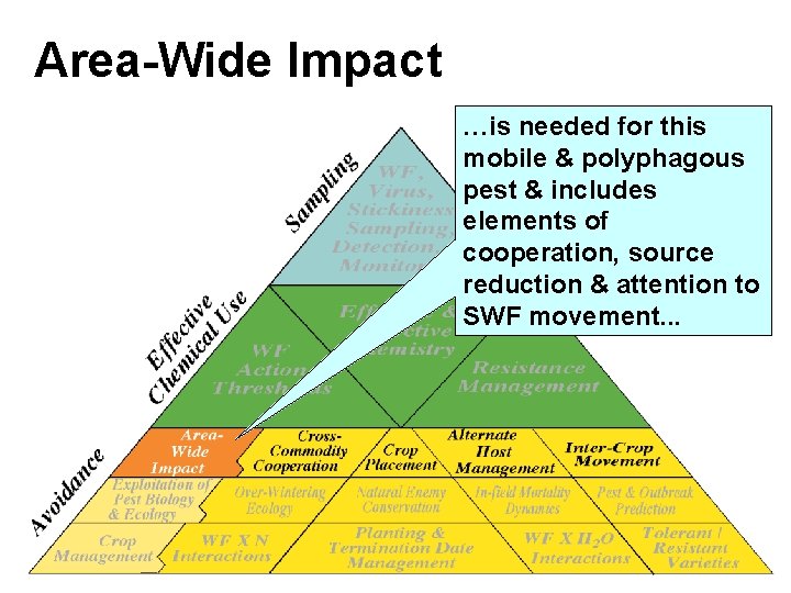 Area-Wide Impact …is needed for this mobile & polyphagous pest & includes elements of Area-Wide Impact …is needed for this mobile & polyphagous pest & includes elements of